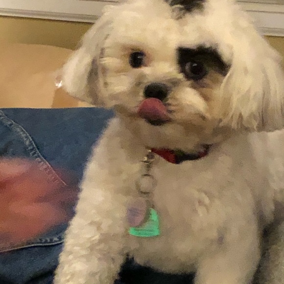 Meet your Posher, Claire - Picture 5 of 5